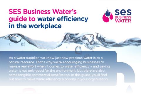 ses water business plan